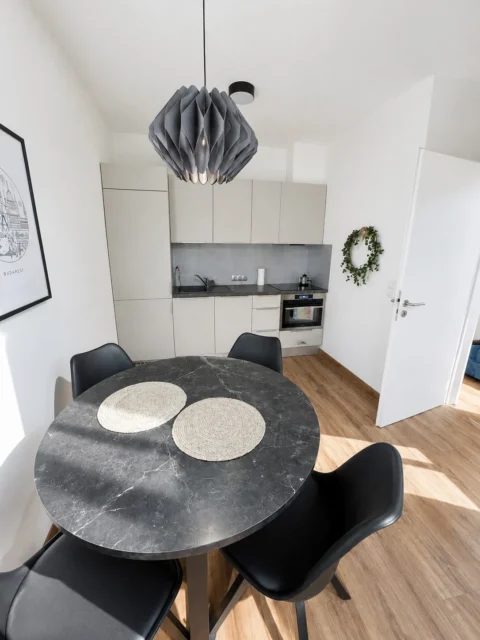 Newly Built One-bedroom Apartment for Rent in Taksony street