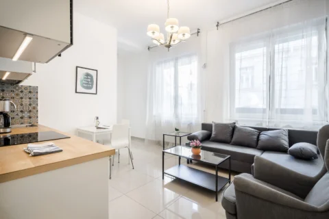 Stylish PET Friendly One-Bedroom Apartment for Rent in Szemere Street – Downtown
