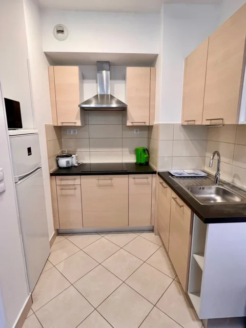 Nice One-bedroom Apartment for Sale at Corvin Promenade