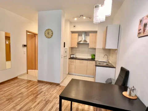 Nice One-bedroom Apartment for Sale at Corvin Promenade