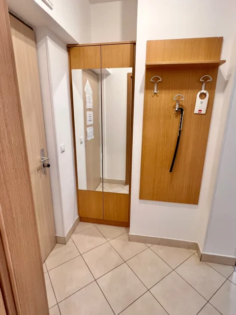 Nice One-bedroom Apartment for Sale at Corvin Promenade