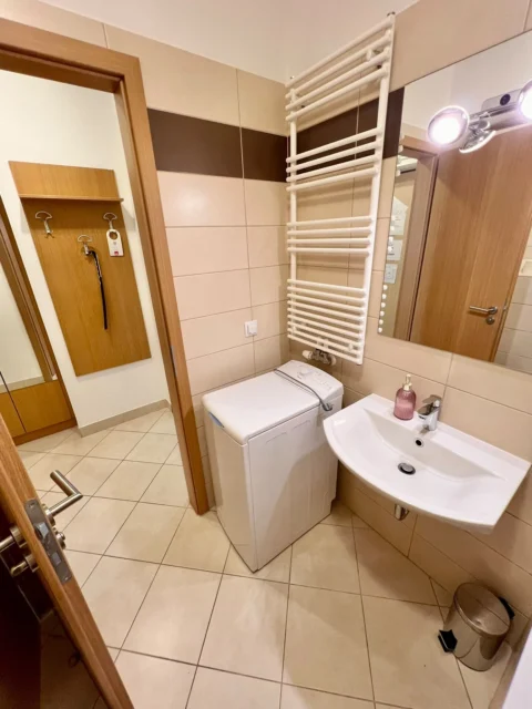 Nice One-bedroom Apartment for Sale at Corvin Promenade