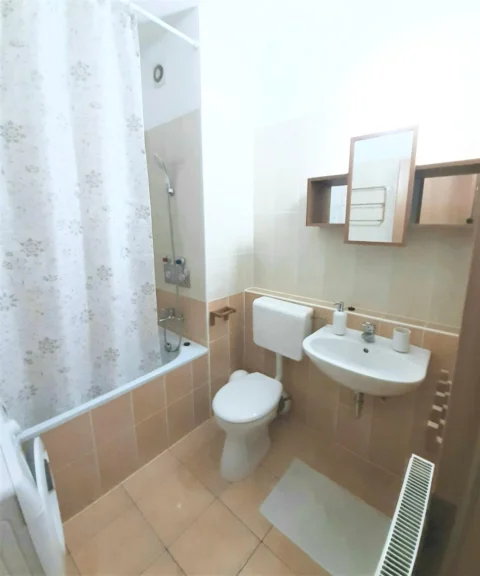 Spacious Studio Apartment for Rent in Kőris street