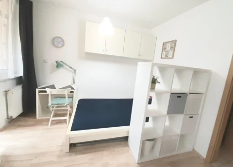 Spacious Studio Apartment for Rent in Kőris street
