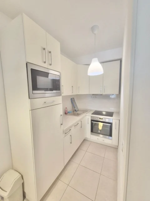 Newly Built One-bedroom Apartment for Rent in Corvin Atrium building with  Balcony