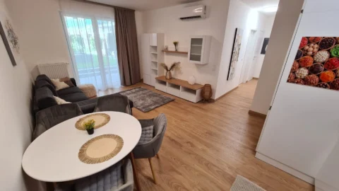  Newly Built One-bedroom Apartment for Rent in CORVIN Grand with Balcony