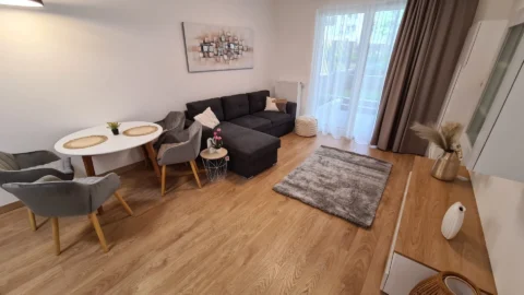  Newly Built One-bedroom Apartment for Rent in CORVIN Grand with Balcony