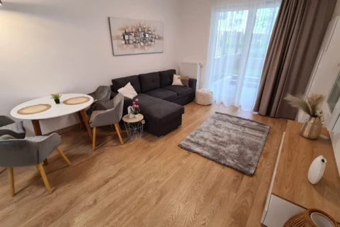  Newly Built One-bedroom Apartment for Rent in CORVIN Grand with Balcony
