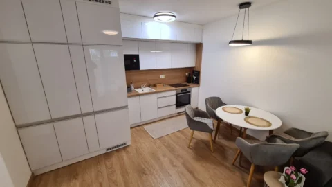 Newly Built One-bedroom Apartment for Rent in CORVIN Grand with Balcony