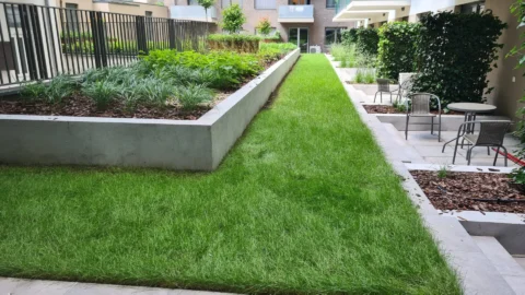  Newly Built One-bedroom Apartment for Rent in CORVIN Grand with Balcony