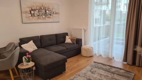  Newly Built One-bedroom Apartment for Rent in CORVIN Grand with Balcony