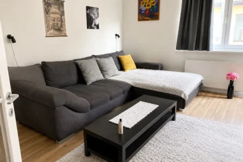 Nice Studio Apartment for Rent in Horánszky street