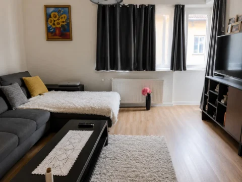 Nice Studio Apartment for Rent in Horánszky street