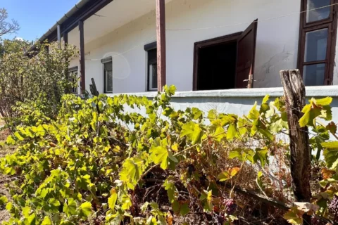 3-bedroom family house with half hectare land within 30 minutes from Budapest