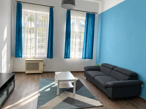 Cozy One-bedroom flat for rent in Illés street- close to SEMMELWEIS University