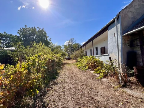 3-bedroom family house with half hectare land within 30 minutes from Budapest