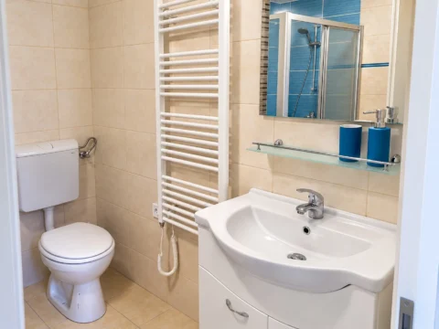Cozy One-bedroom flat for rent in Illés street- close to SEMMELWEIS University