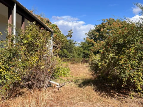 3-bedroom family house with half hectare land within 30 minutes from Budapest