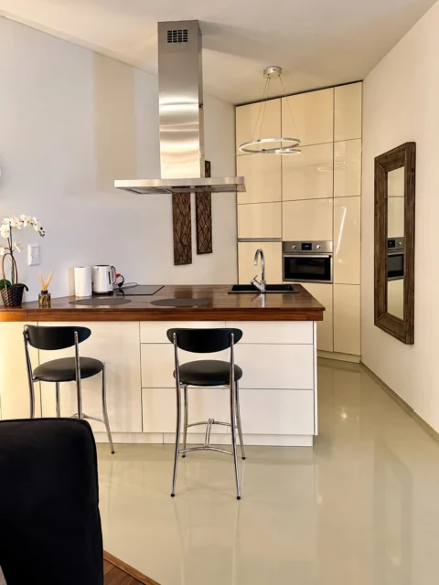 Luxury One-bedroom Apartment for Rent in Rózsa street –  close to Oktogon