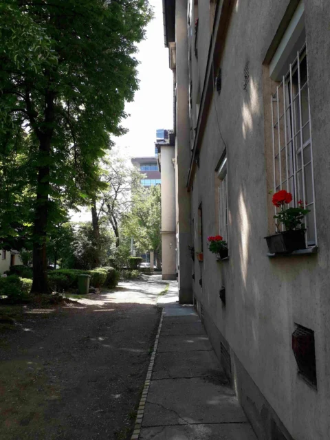 Studio Apartment for Rent in Haller street